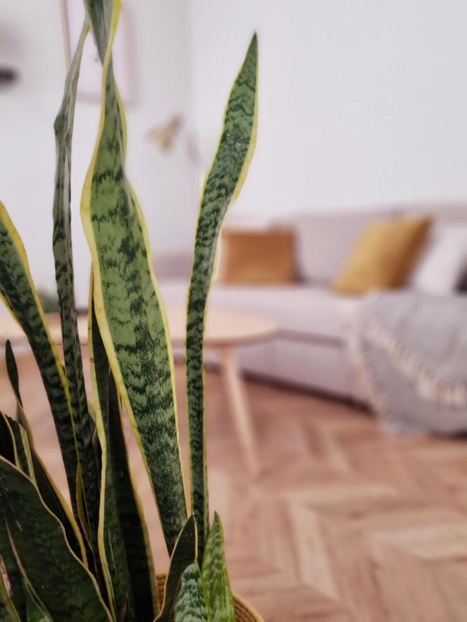 Cozy Apartment In The City Center Granada Eksteriør bilde
